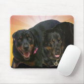 新星及び新 マウスパッド (マウス)