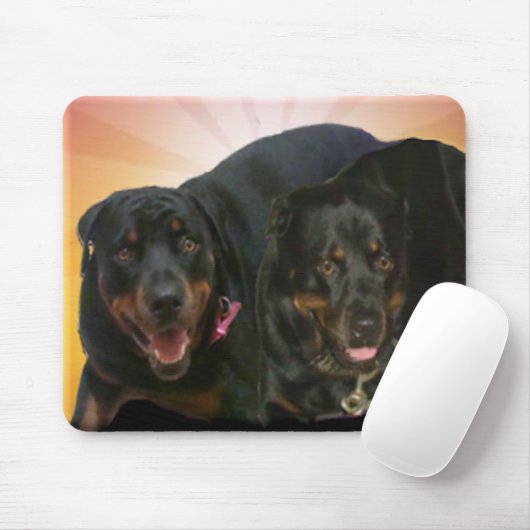 新星及び新 マウスパッド (マウス)