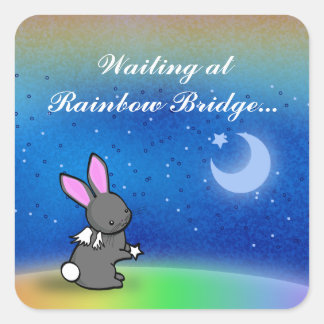 新星 スクエアシール