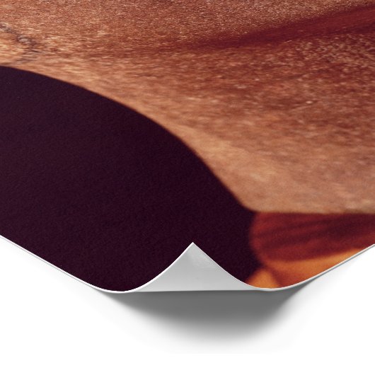 新王国ネフェティティ未完の首 ポスター (角)