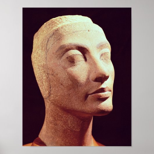 新王国ネフェティティ未完の首 ポスター (正面)