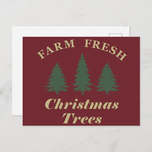 新生のクリスマスパインの木を栽培する シーズンポストカード (正面/裏面)