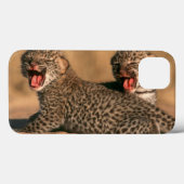 新生のヒョウ(ヒョウ属Pardus)のクローズアップ Case-Mate iPhoneケース (裏面 (横))