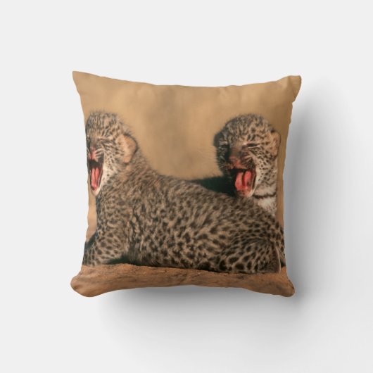 新生のヒョウ(Panthera pardus)クローズアップ クッション (正面)