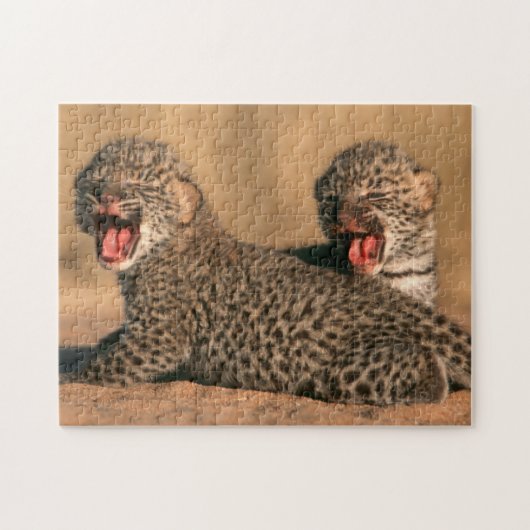 新生のヒョウ（Panthera pardus）クローズアップ ジグソーパズル (横)