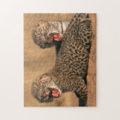 新生のヒョウ（Panthera pardus）クローズアップ ジグソーパズル (縦)