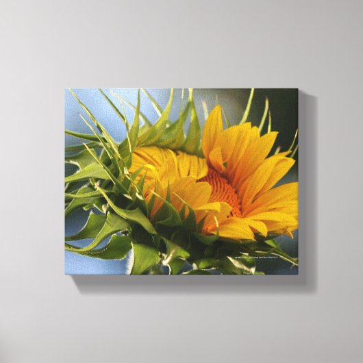 新生ひまわり キャンバスプリント (正面)