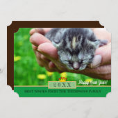 新生まれ婚おめでとうカード/猫 シーズンカード (正面/裏面)