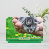 新生まれ婚おめでとうカード/猫 シーズンカード (スタンド正面)