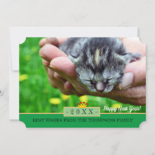 新生まれ婚おめでとうカード/猫 シーズンカード
