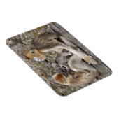 新生児を持つ雌猿 マグネット (右側)