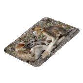 新生児を持つ雌猿 マグネット (左側)