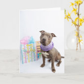 新生児カード カード (黄色い花)