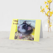 新生児カード カード (黄色い花)