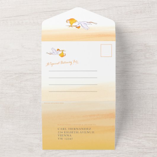 新生児シャワーストークデリバリーウォーター色オレンジ オールインワン招待状 (外側)