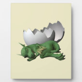 新生児ドラゴン フォトプラーク (正面)