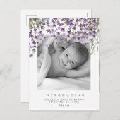 新生児ニュートラルラベンダー写真はがき シーズンポストカード (正面/裏面)