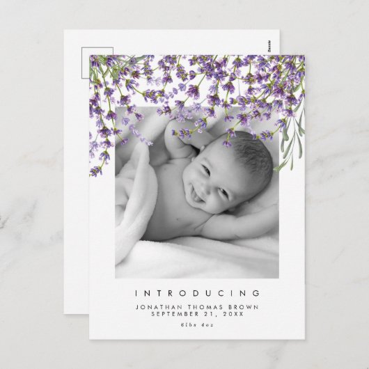 新生児ニュートラルラベンダー写真はがき シーズンポストカード (正面/裏面)
