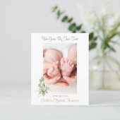 新生児ユーカリ緑の出産の発表 (スタンド正面)