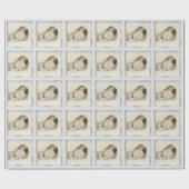 新生児写真テンプレートシルバーグレー ラッピングペーパー (フラット)