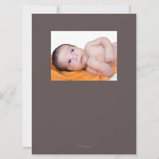 新生児寝熊 案内状 (裏面)