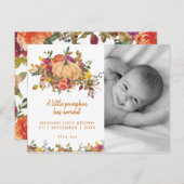 新生児小カボチャ秋写真はがき シーズンポストカード (正面/裏面)