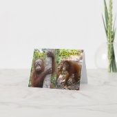 新生児発表 案内状 (正面)