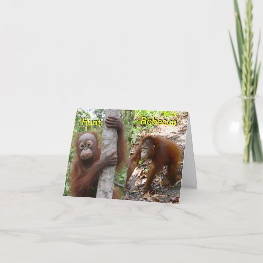 新生児発表 案内状 (正面)