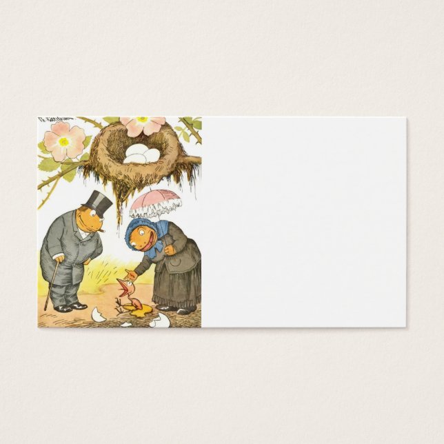 新生児鳥 (正面)