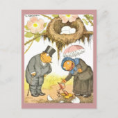 新生児鳥 案内ポストカード (正面)