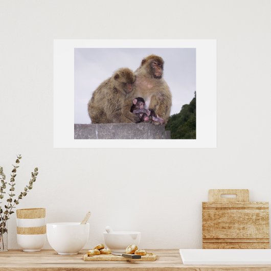 新生児 ポスター (キッチン)