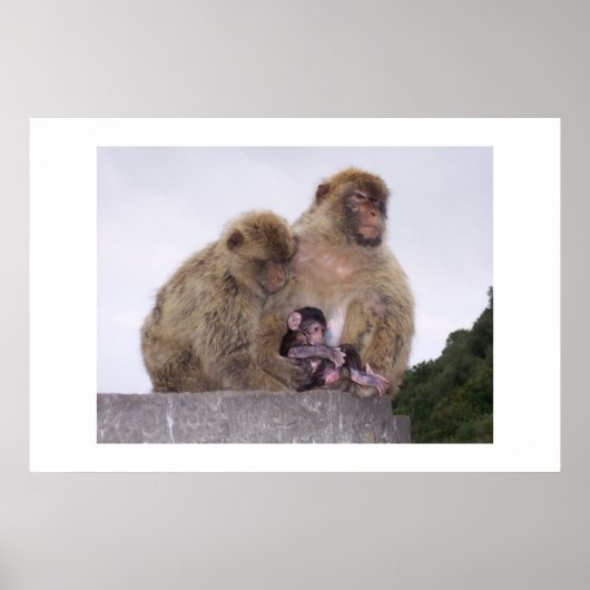 新生児 ポスター (正面)