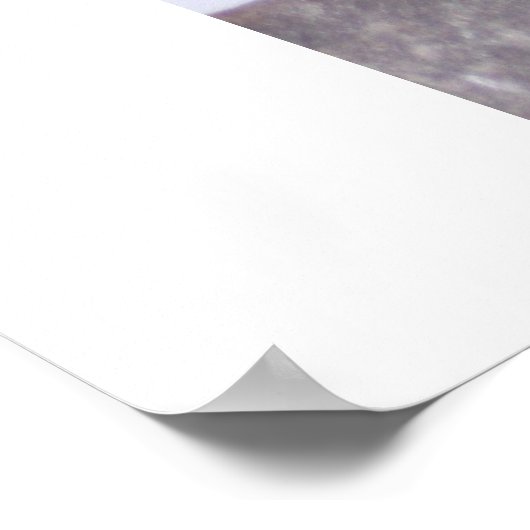 新生児 ポスター (角)