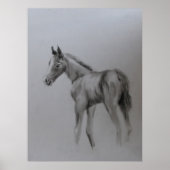 新生児 ポスター (正面)