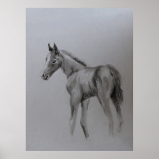 新生児 ポスター