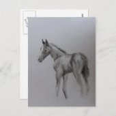 新生児 案内ポストカード (正面/裏面)