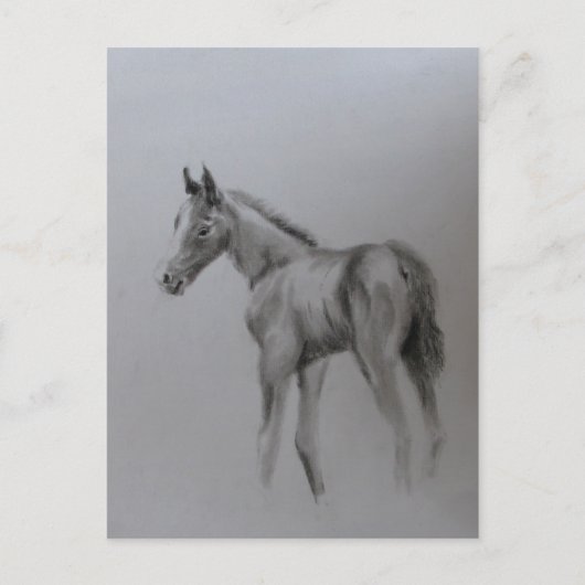 新生児 案内ポストカード (正面)