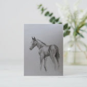 新生児 案内ポストカード (スタンド正面)