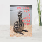 新生児EMU BY 3-z 案内状 (正面)