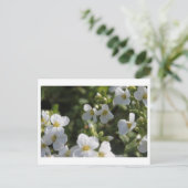 新白の夏の庭の花と緑葉の ポストカード (スタンド正面)