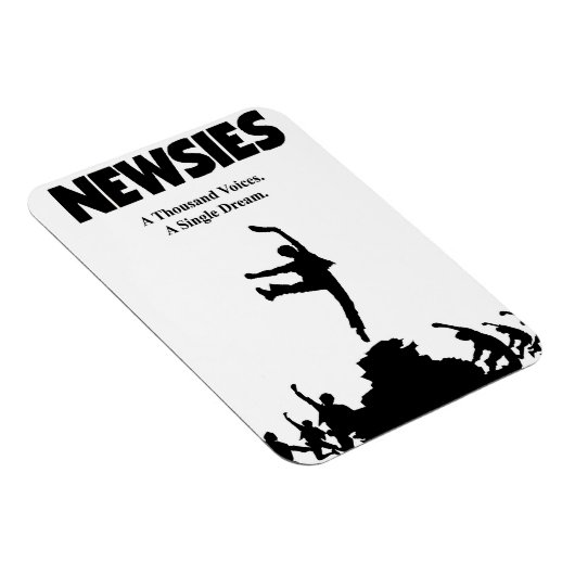 新着磁石 マグネット (右側)