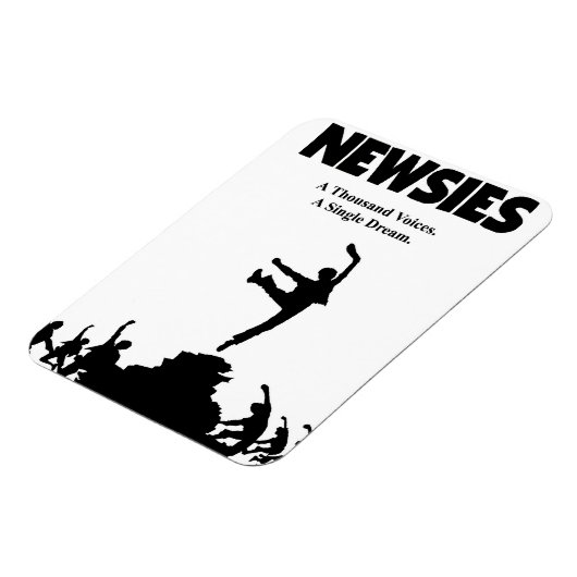 新着磁石 マグネット (左側)