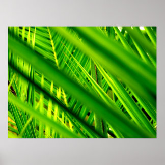 （新着）ポスタープリント ポスター