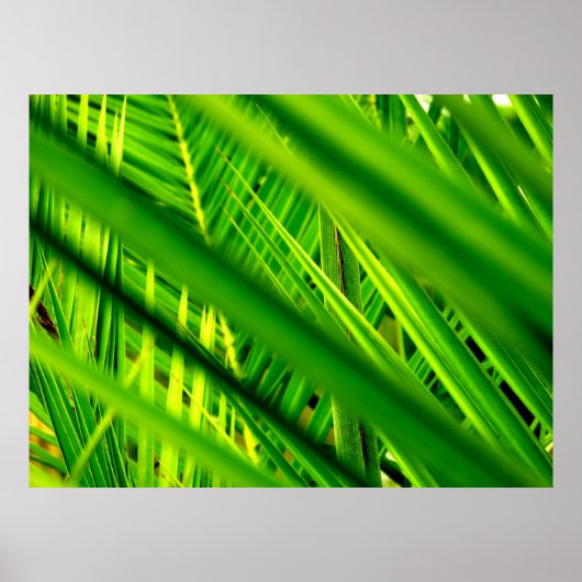 （新着）ポスタープリント ポスター (正面)