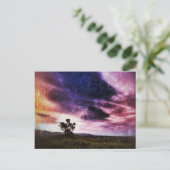 新空 ポストカード (スタンド正面)