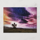 新空 ポストカード (正面)