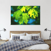 新緑のカエデ葉メ キャンバスプリント (インサイチュ (寝室))