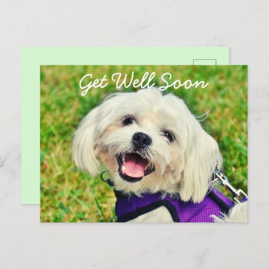 新緑の犬と勇気付けられるが元気 ポストカード (正面/裏面)