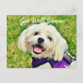 新緑の犬と勇気付けられるが元気 ポストカード (正面)