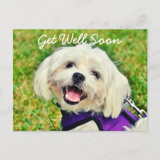 新緑の犬と勇気付けられるが元気 ポストカード (正面)